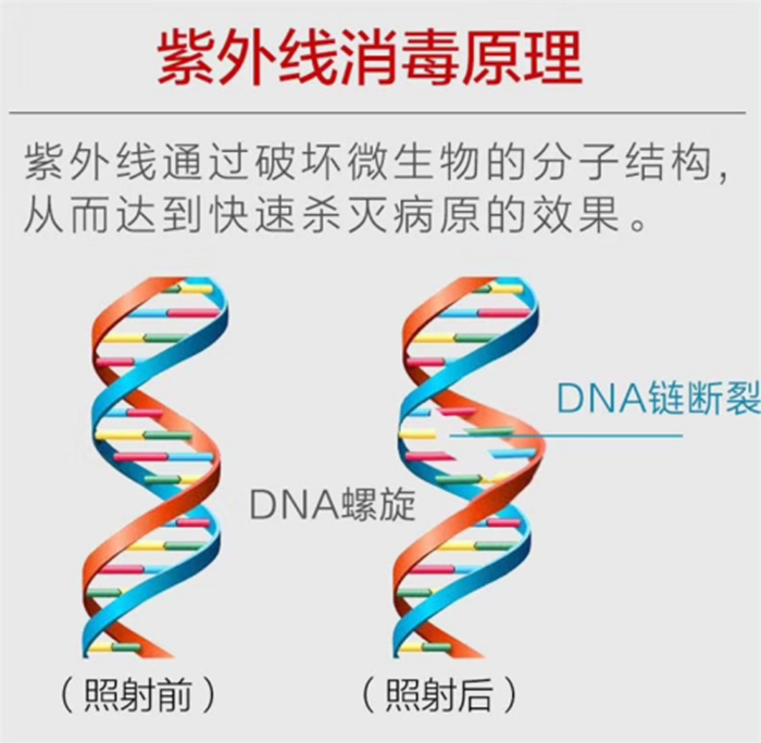 微信圖片_20200217225234_副本.png 微信圖片_20200217225234_副本.png