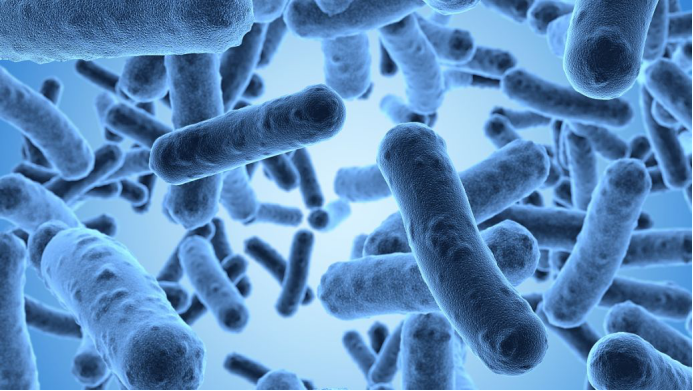 1596269951(1).jpg 1596269951(1).jpg