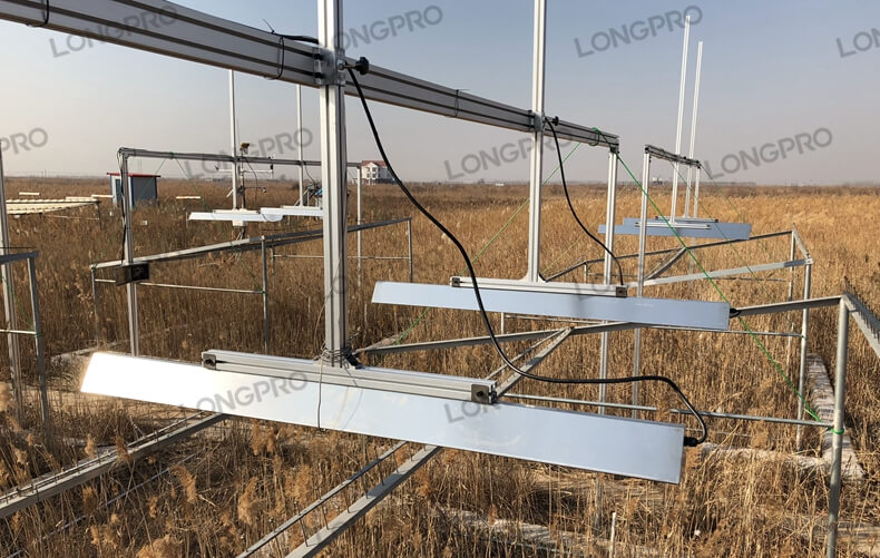 紅外輻射器.jpg 紅外輻射器.jpg